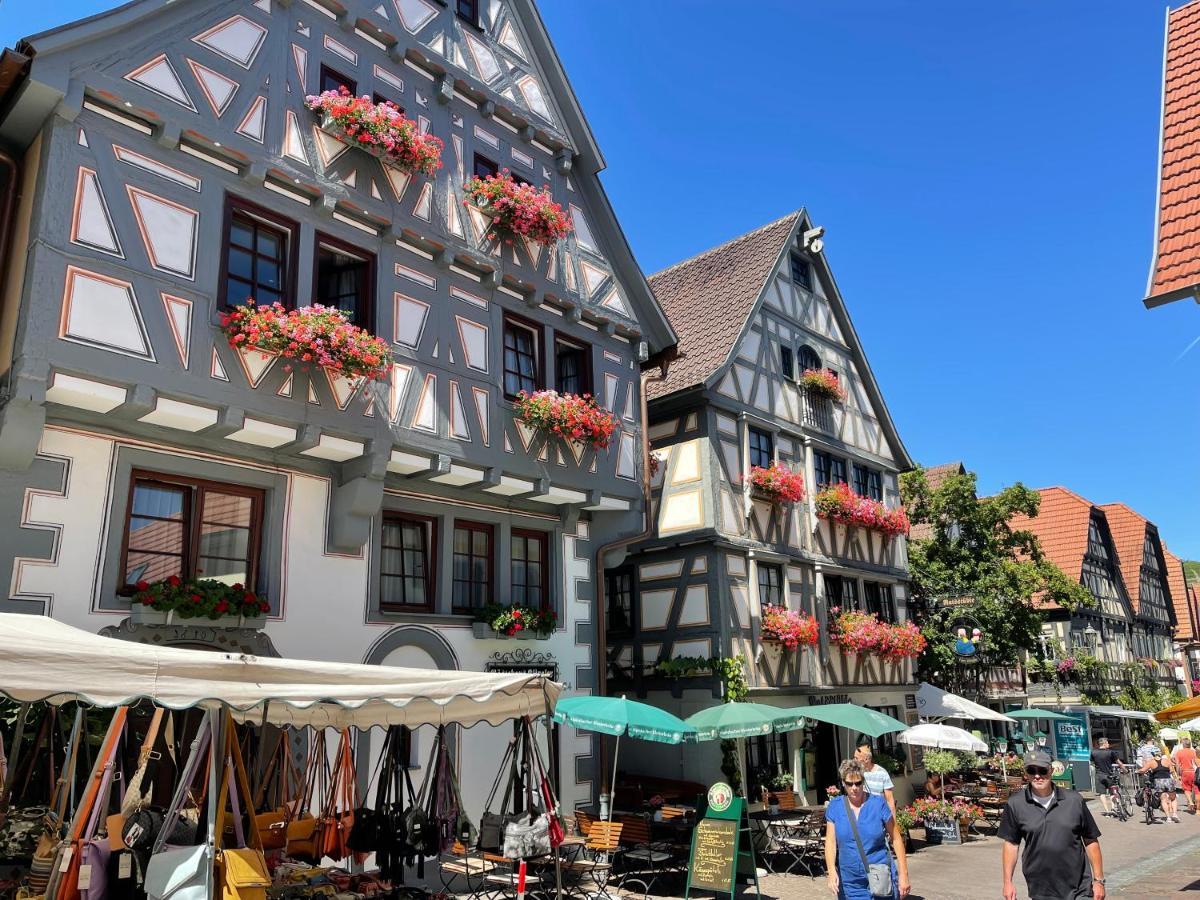 Gaestehaus Klingler Besigheim Buitenkant foto